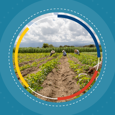 Curso Virtual: Formación judicial para la especialidad de restitución de tierras [CURADURIA]